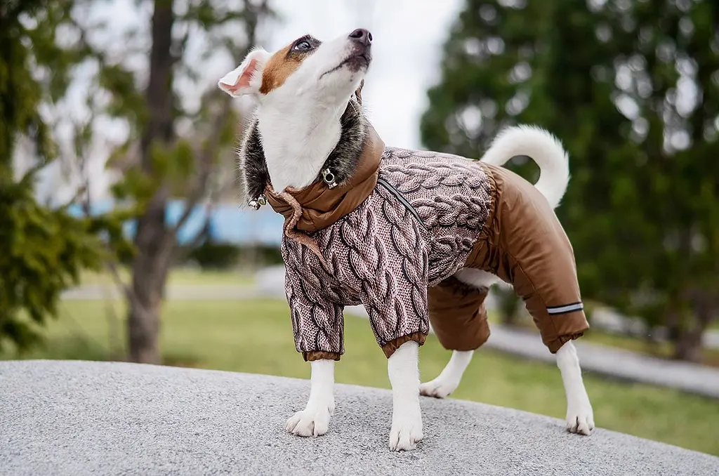 Комбінезон Smart Pet В’язанка - фото 2