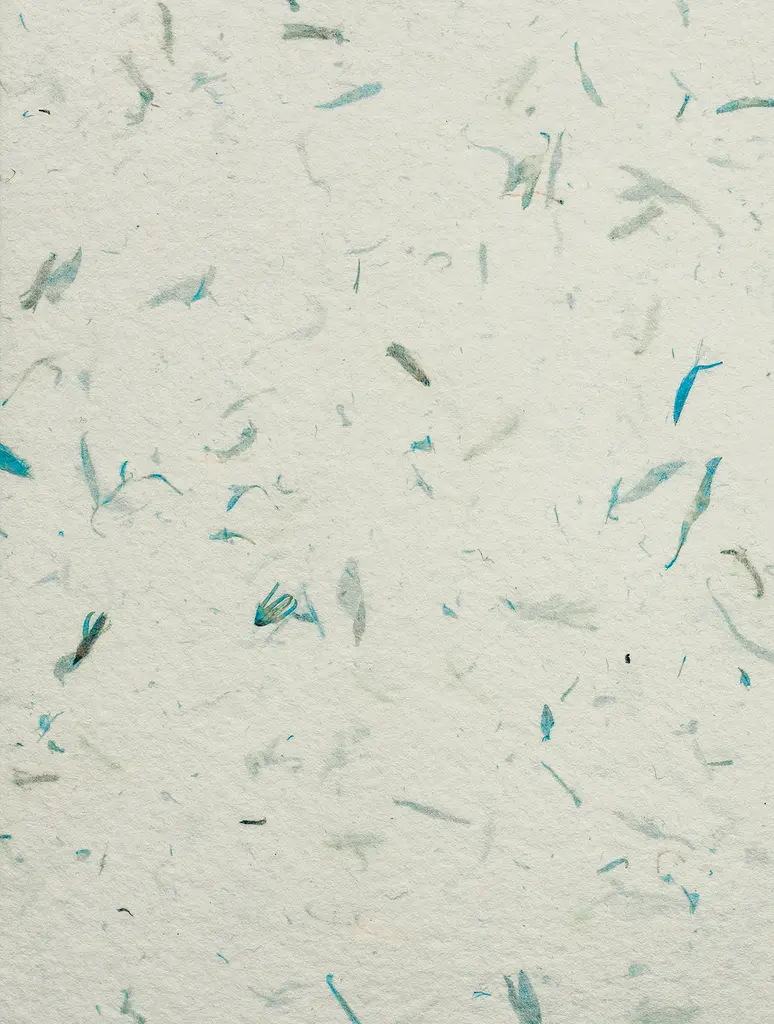 У Бога під серцем - Антонія Зоряна Шелепило - фото 2