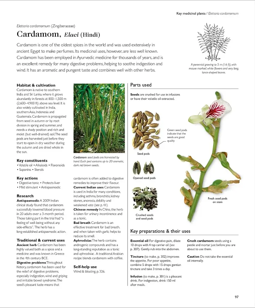 Encyclopedia of Herbal Medicine - фото 8