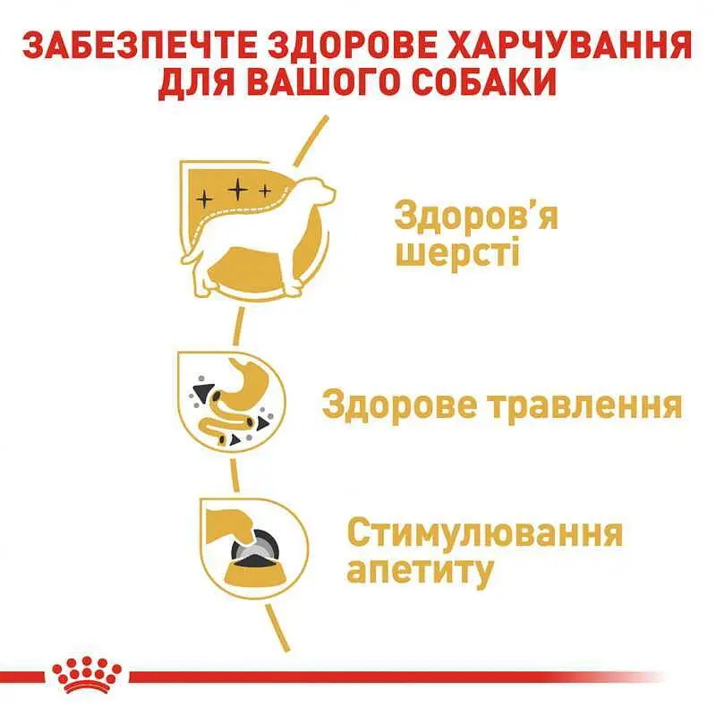 Влажный корм Royal Canin Chihuahua Adult для собак породы Чихуахуа 85 г (2041001) - фото 4