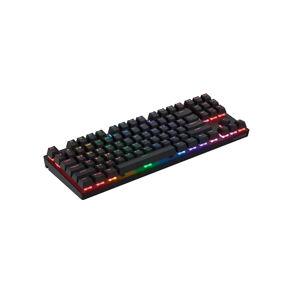 Клавіатура Hator Icefall Mecha TKL Rainbow Wireless/USB Black (HTK287UA) - фото 5