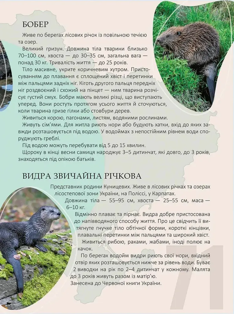 Перлини природи України - Тетяна Станкевич - фото 6