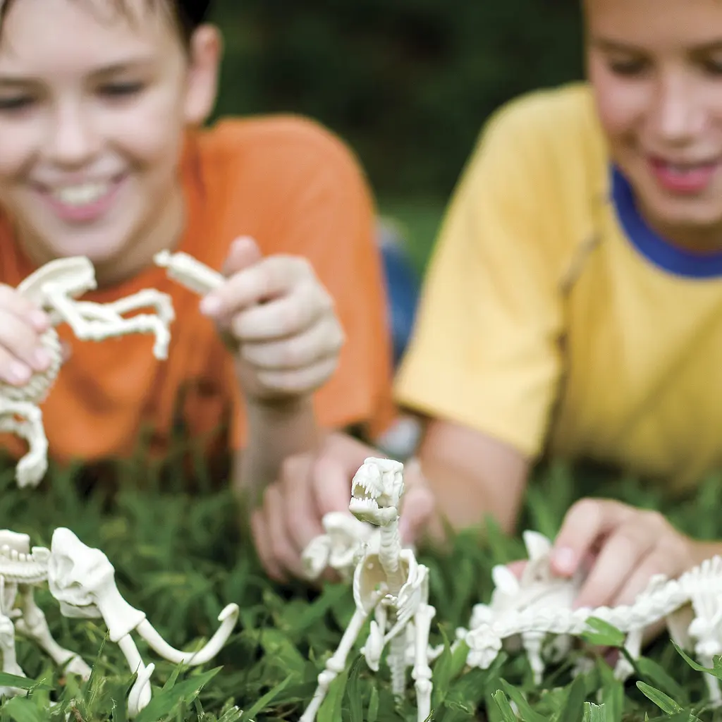 Набор для раскопок 4M KidzLabs Скелет велоцираптора (00-13234) - фото 6