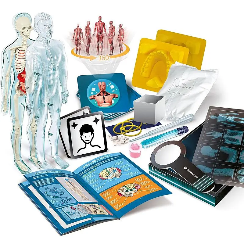 Научный набор Супер анатомия - Clementoni 50919 - фото 3