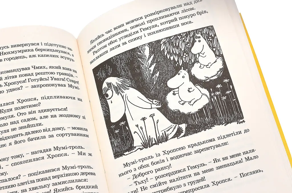 Країна Мумі-Тролів. Книга 1 — Туве Янссон - фото 3