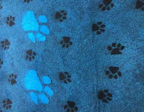 Килимок Jackson Textiles Big Paws turquoise 160х200 см (JT-032-2) - фото 3