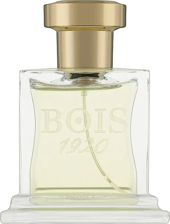 Оригінал Bois 1920 Elite I 100 мл Парфуми