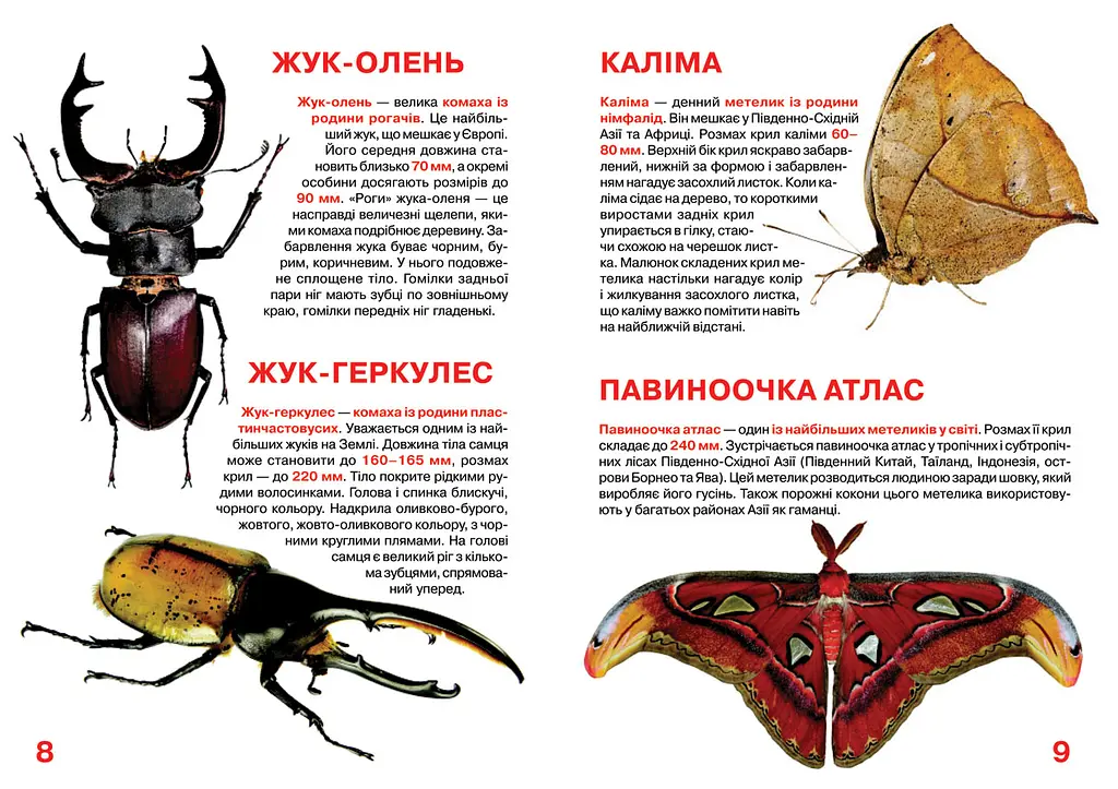 Велика книга Кристал Бук Комахи (F00015511) - фото 3