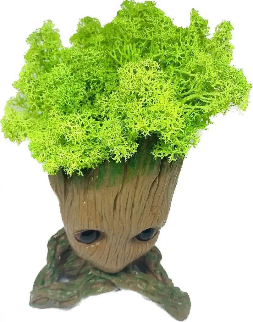 Кашпо горщик зі стабілізованим мохом Грут Groot G3 - фото 4
