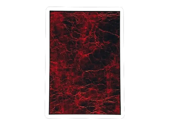 Карты игральные United States Playing Card Company Noc MYNOC 002 (Leather) (PC_NM002) - фото 4