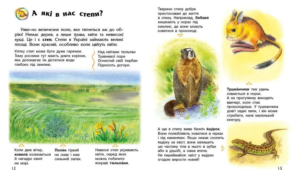 Книга Енциклопедія дошкільника (нова): Україна Ранок С614044У Різнокольоровий shop (9786170999948) - фото 3