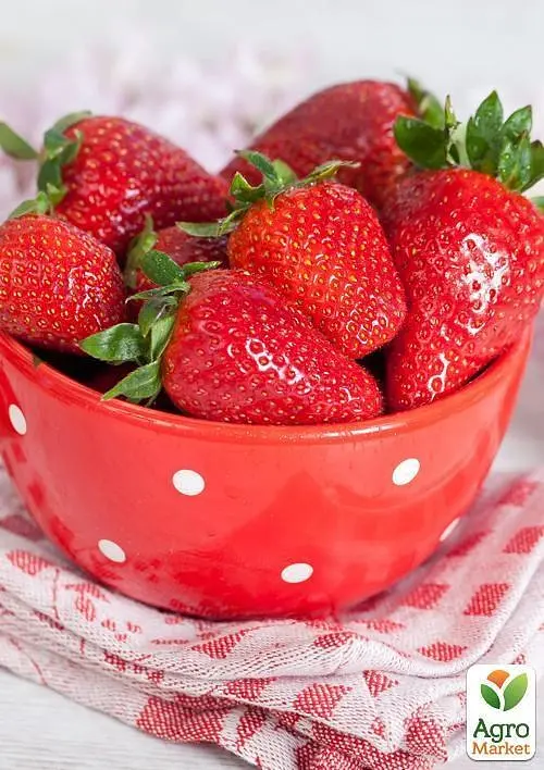 Саженец Agro-Market Клубника Зрница (ранний срок созревания, сорт устойчив к болезням) 5 шт. - фото 3