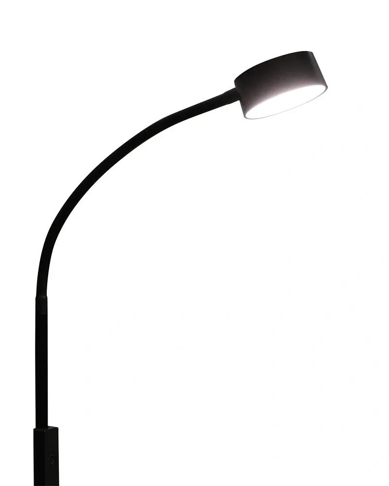 Торшер Goldlux 330093 Bruno LED 1x3W 3000K/4000K/6500K 400Lm IP20 чорний - фото 3