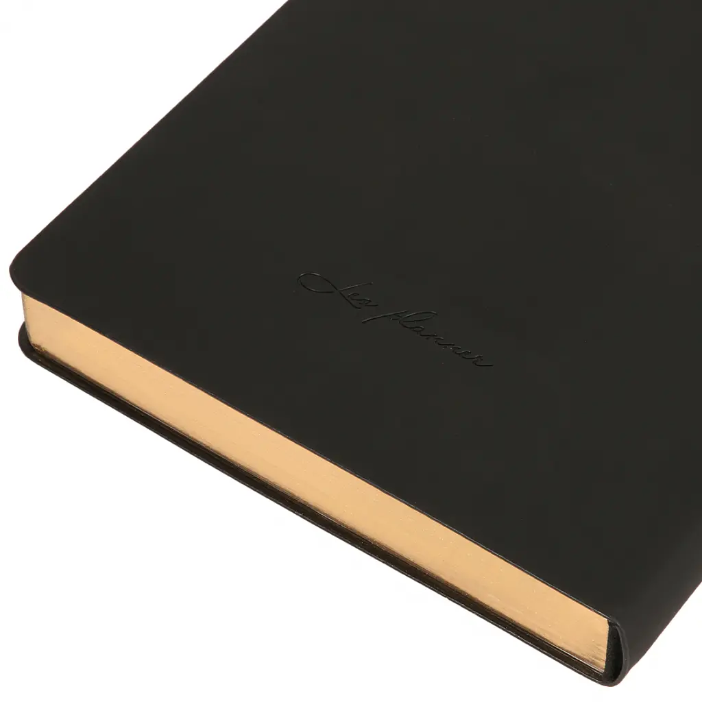 Дневник-деловая записная книжка А5 Leo Planner Enigma 2026 мягкий черный 368 страниц (252700) - фото 4