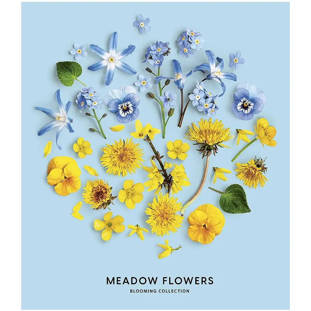 Зошит загальний Школярик Meadow flowers, в лінійку, 36 арк, УФ-лак, 20 шт. (036-3190L) - фото 2