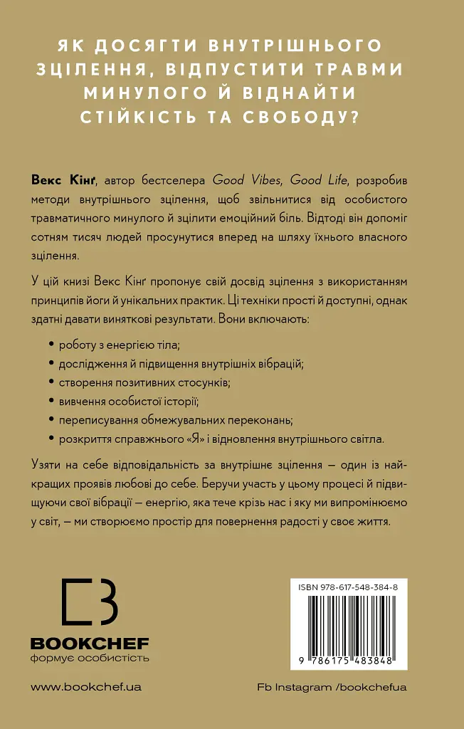 Healing Is the New High. Посібник із подолання емоційних потрясінь і здобуття свободи - фото 2