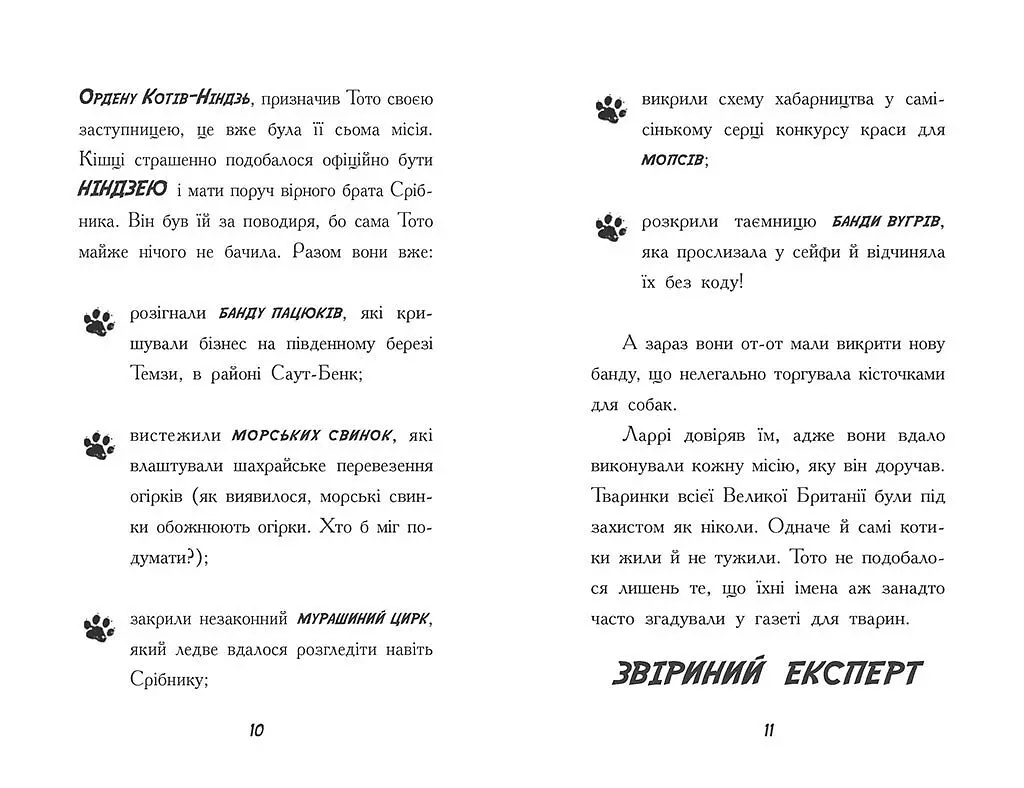 Тото. Кішка-ніндзя і КОТОстрофа суперзірки. Книга 3 - Дермот О'лірі (Ч1522003У) - фото 6