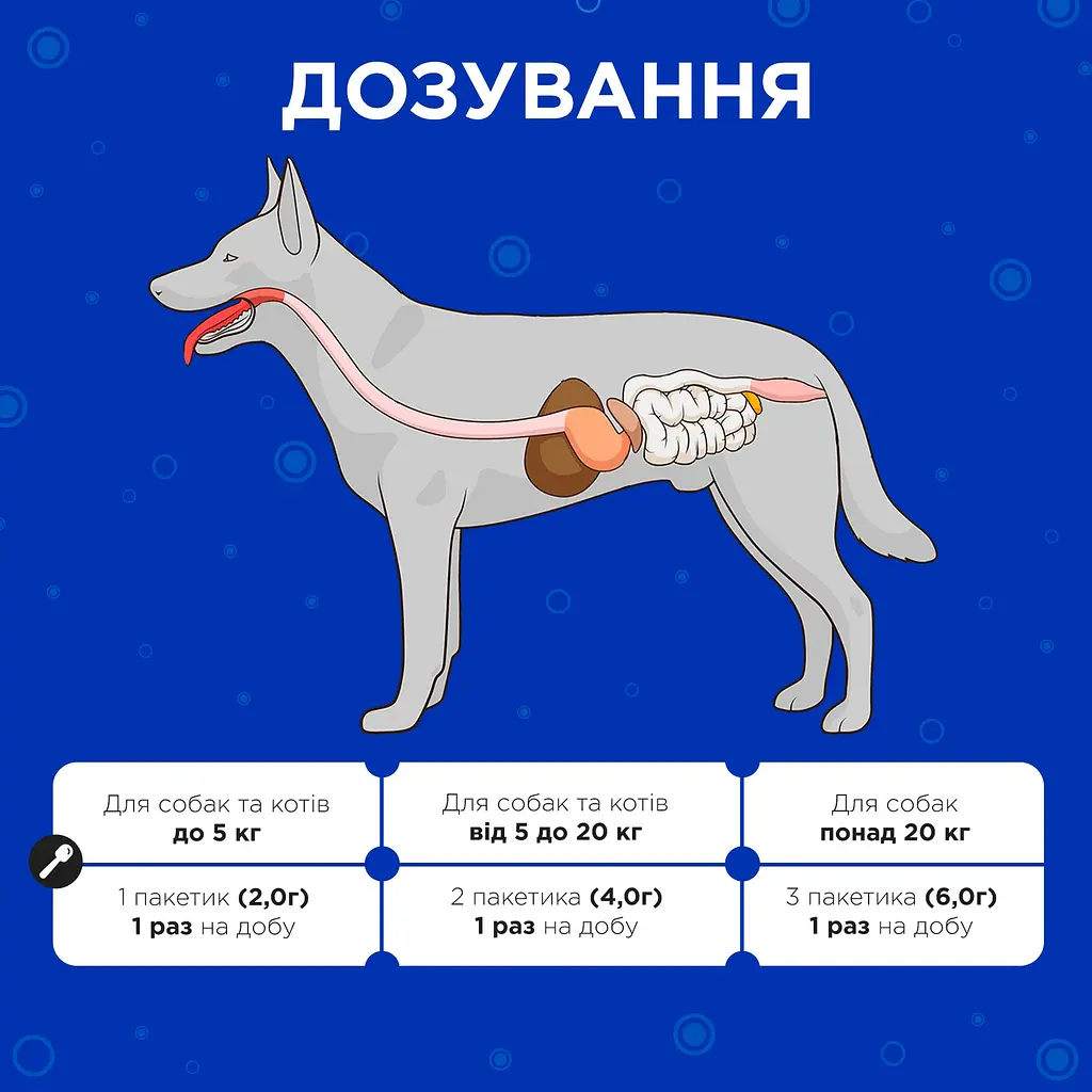 Пробіотики для собак та котів Modes Kombiflor для підтримки балансу мікрофлори кишківника 15 саше - фото 4