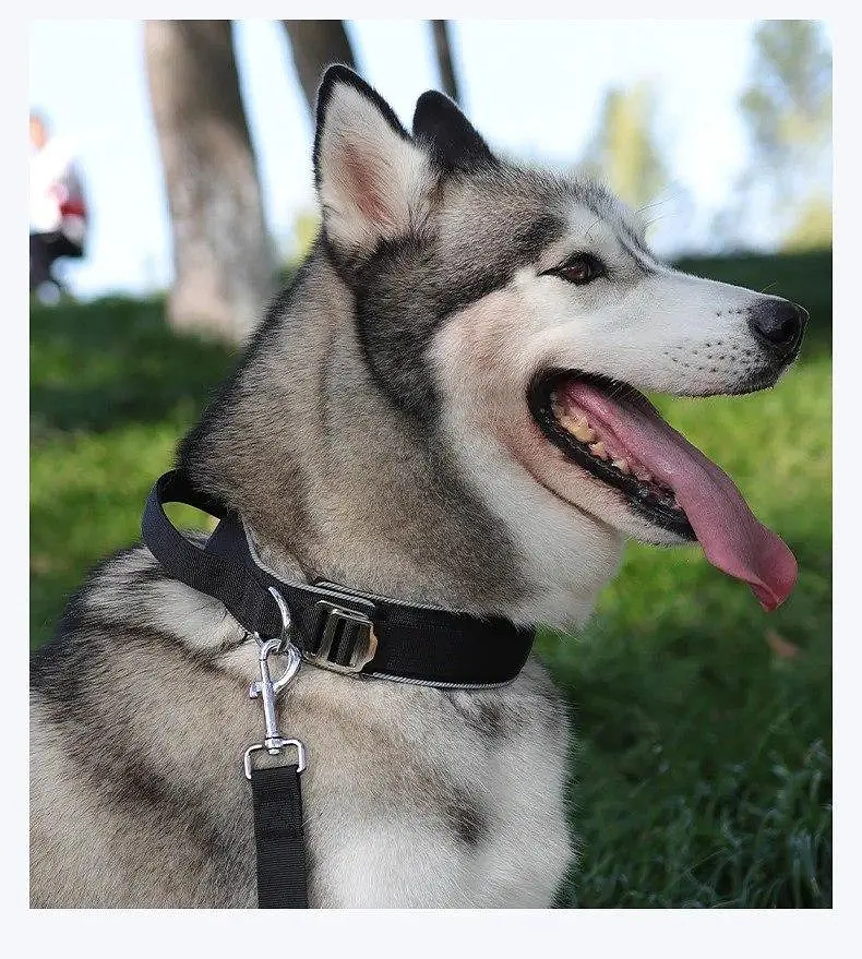 Нашийник для собак Fanxing Pet, з ручкою світловідбиваючий для середніх і великих порід Чорний, M - фото 2