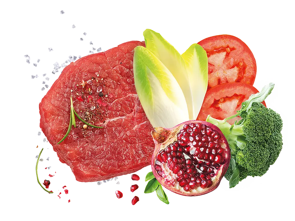 Корм Exclusion Adult Beef для взрослых собак всех пород с говядиной 400 г - фото 2