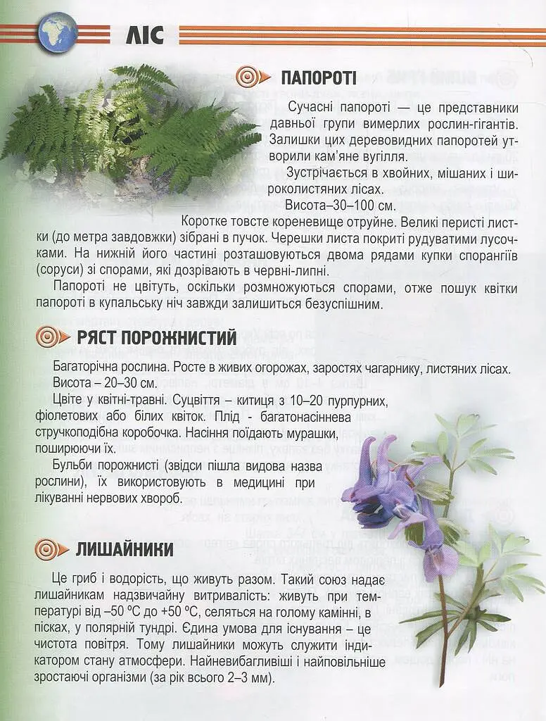 Енциклопедія для допитливих А5 : Рослини і тварини України (Українська ) - фото 9