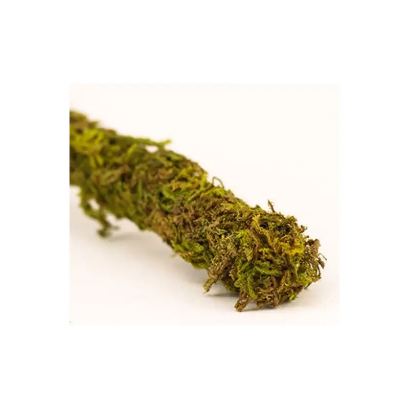 Ліана гнучка з натуральним мохом для тераріуму Repti-Zoo Artificial Moss Vine 2см x 2м (RV0220) - фото 2