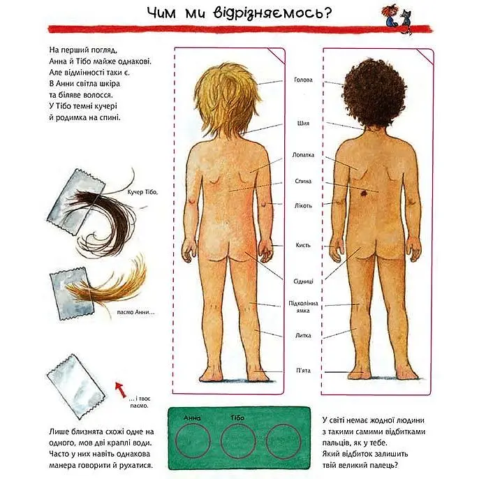 Інтерактивна книжка Богдан Чому? Чого? Навіщо? Досліджуємо власне тіло - Рюбель Доріс (978-966-10-6305-0) - фото 3