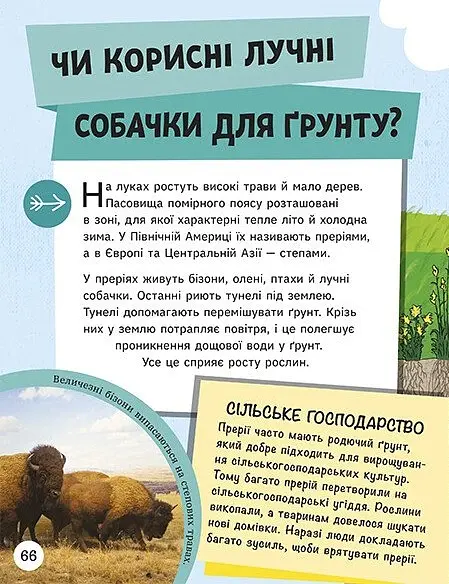 Енциклопедія юних розумників - Ненсі Дікманн - фото 13