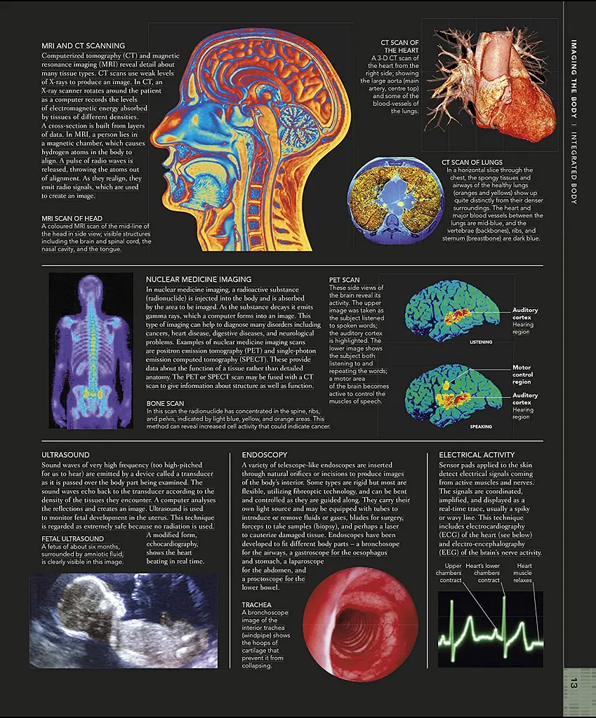 The Human Body Book - фото 3