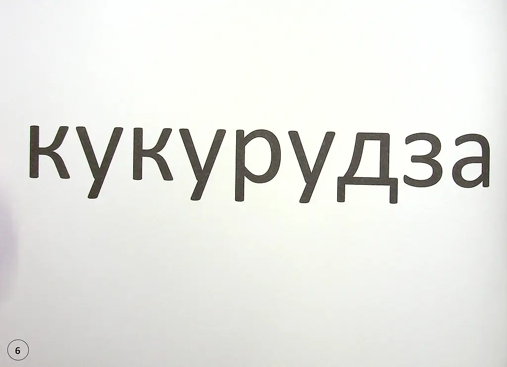 Зорові диктанти з української мови. 2 клас - Лариса Шевчук - фото 8