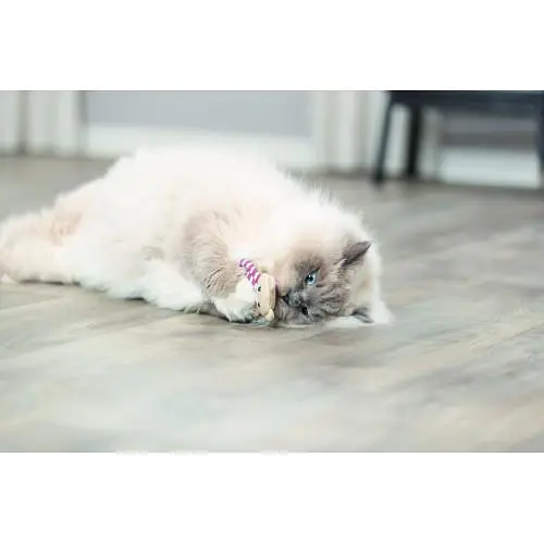 Іграшка Trixie Ведмідь тканинний з котячою м'ятою для котів 12 см - фото 7