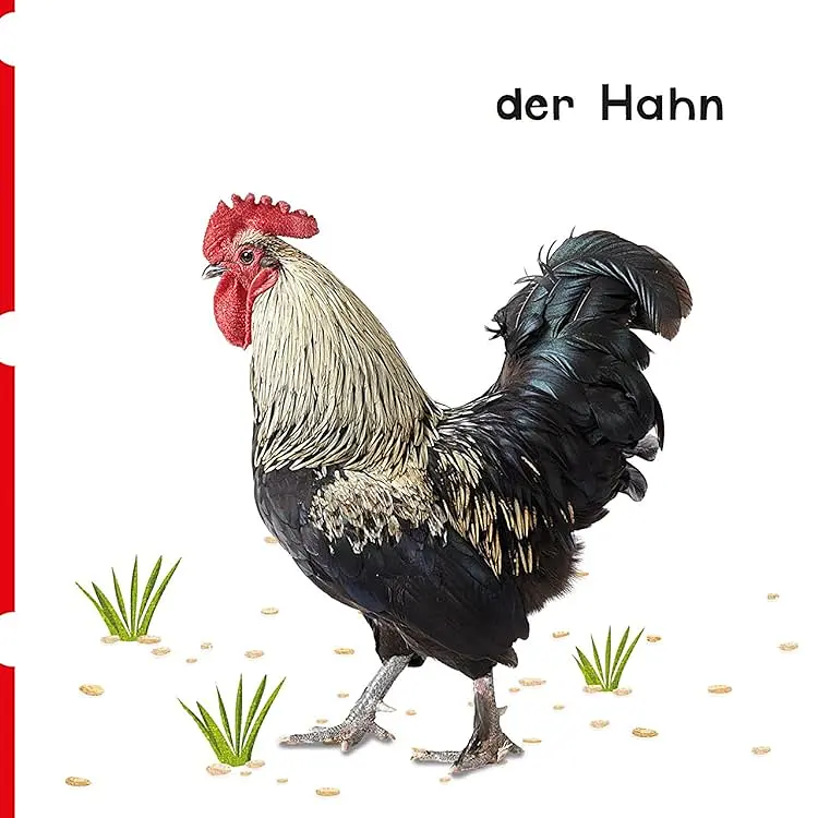 Erste Reime-erste Bilder. Tiere auf dem Bauernhof - фото 3