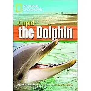 FRL1600 B1 Cupid the Dolphin