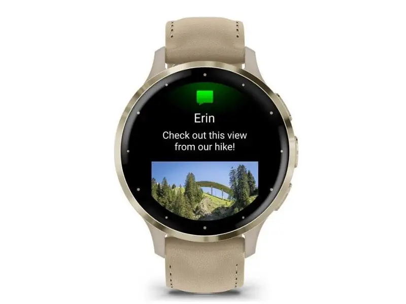Смарт-годинник Garmin Venu 3S Soft Gold S. Steel Bezel w. French Gray Case and Leather Band (010-02785-55) - фото 4