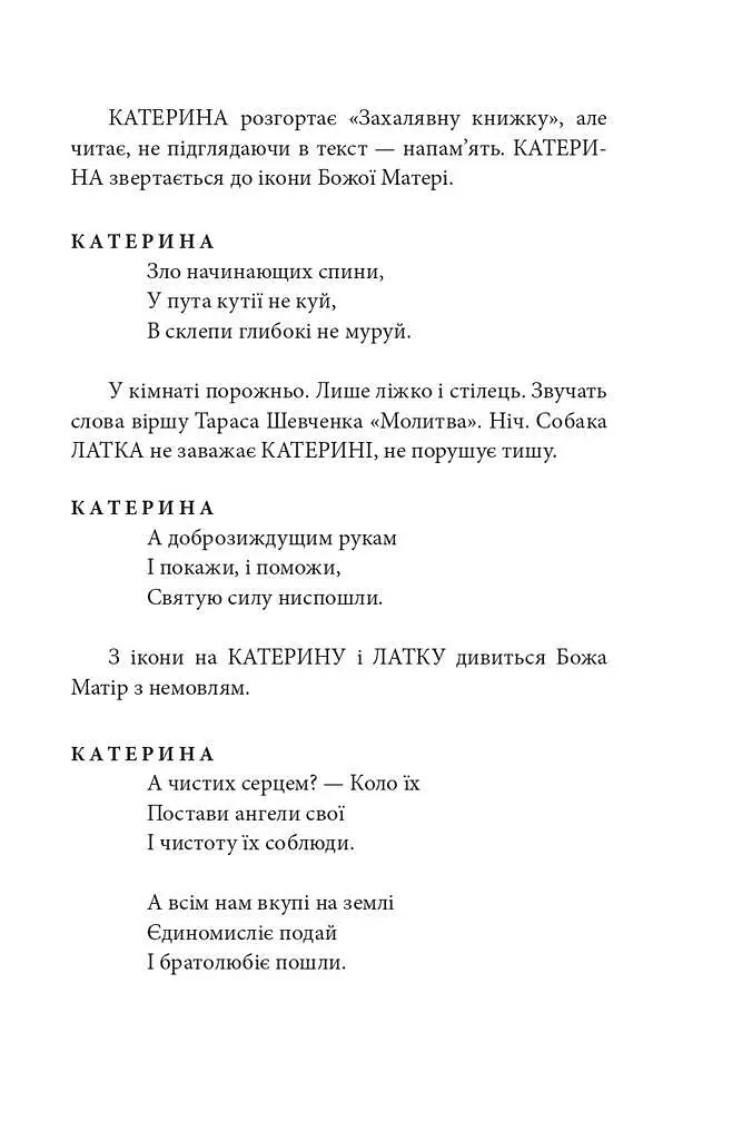 Книга Толока. Краєвид з вікна хати - Михайло Іллєнко (Folio) - фото 6