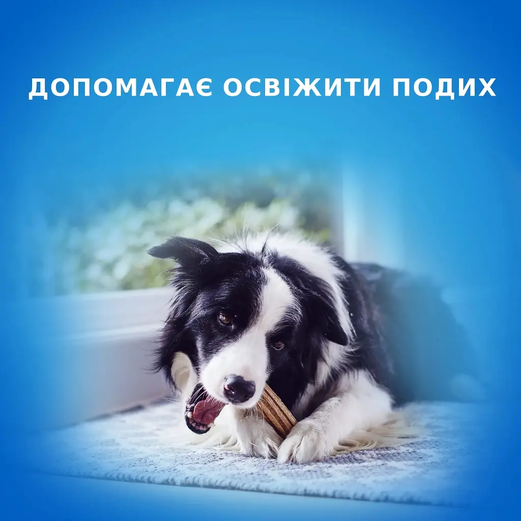 Ласощі для собак Purina DentaLife Small Для підтримки здоров'я порожнини рота 115 г (8445291614550) - фото 2