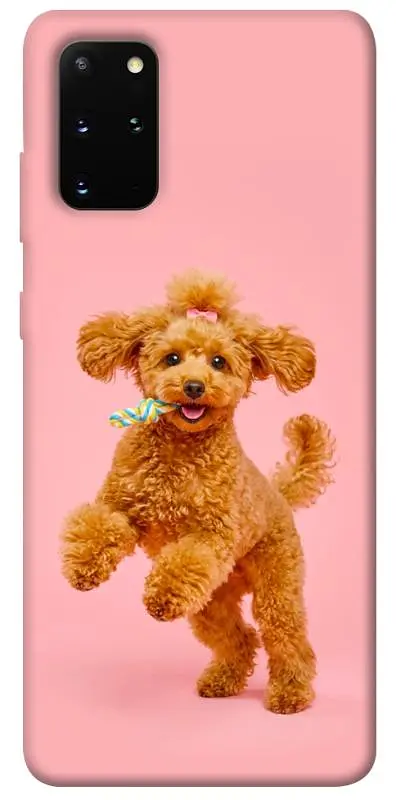 TPU чохол Demsky Happy poodle для Samsung Galaxy S20+