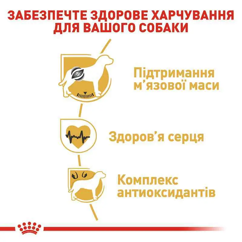 Сухий корм для дорослих собак породи Боксер Royal Canin Boxer Adult, 12 кг (2588120) - фото 6