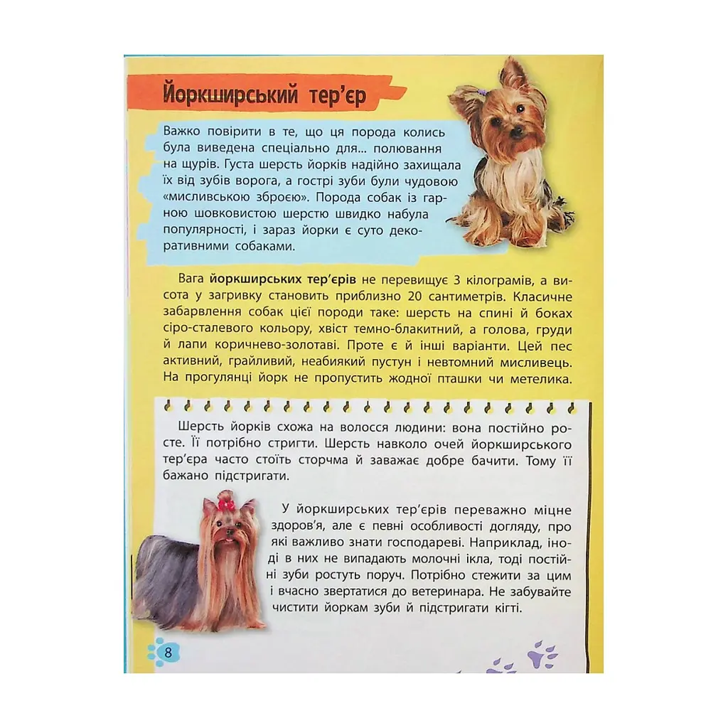 Книга Мініенциклопедія. Хатні улюбленці Vivat (9789669827241) - фото 9