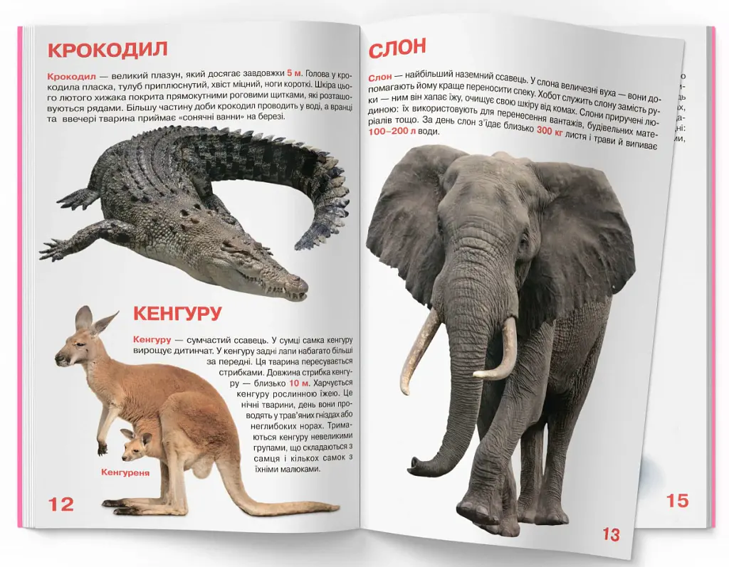 Велика книжка. Дикі тварини - фото 5