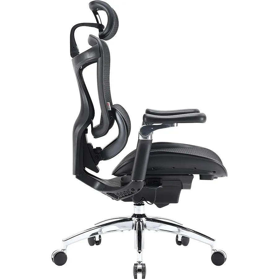 Офисное кресло Sihoo Doro C300 Pro Mesh Black (DORO-C300-PRO-M101) - фото 5