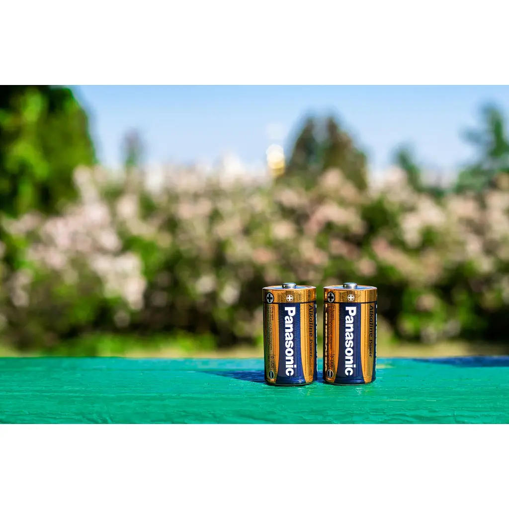 Батарейка Panasonic D LR20 Alkaline Power * 2 (LR20REB/2BP) - фото 4