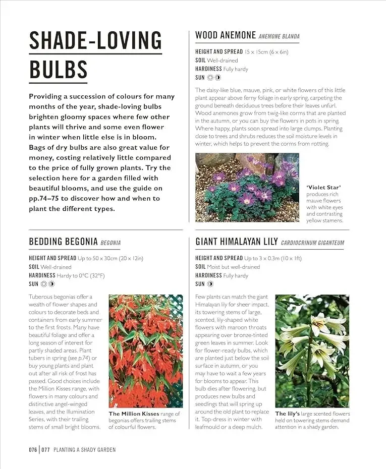 Grow Shade Garden. Essential Know-how and Expert Advice for Gardening Success - фото 9