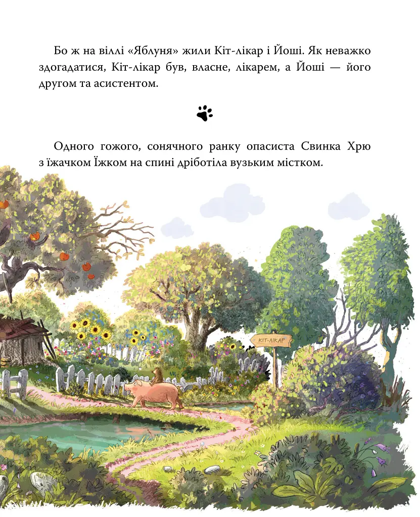 Заблукала вівця. Кіт-лікар. Книга 1 - Валько - фото 5