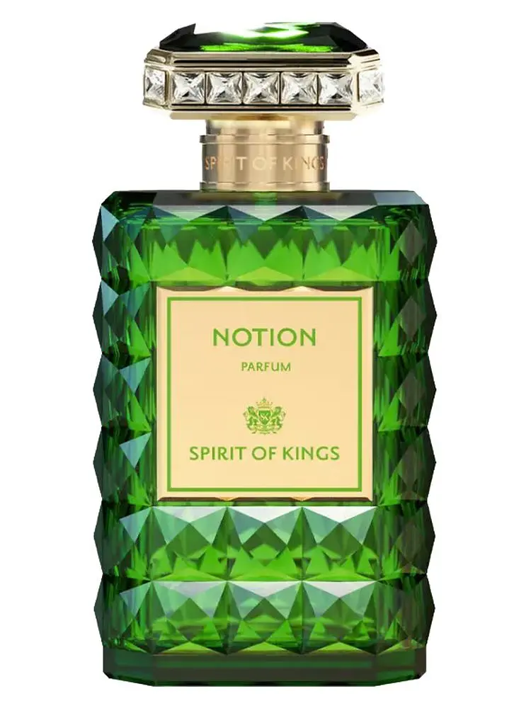 Оригінал Spirit Of Kings Notion 100 мл Парфуми