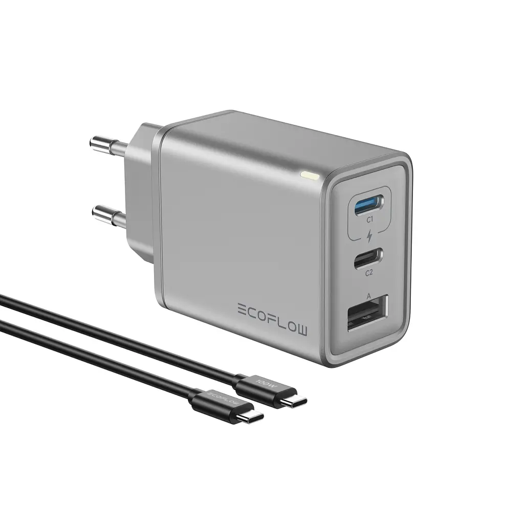 Зарядний пристрій EcoFLow Rapid Charger 65W - фото 2
