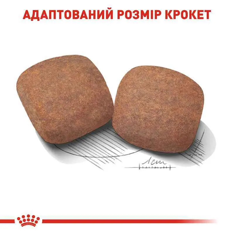 Сухой корм для взрослых собак больших размеров Royal Canin Giant Adult, 4 кг (3009040) - фото 3