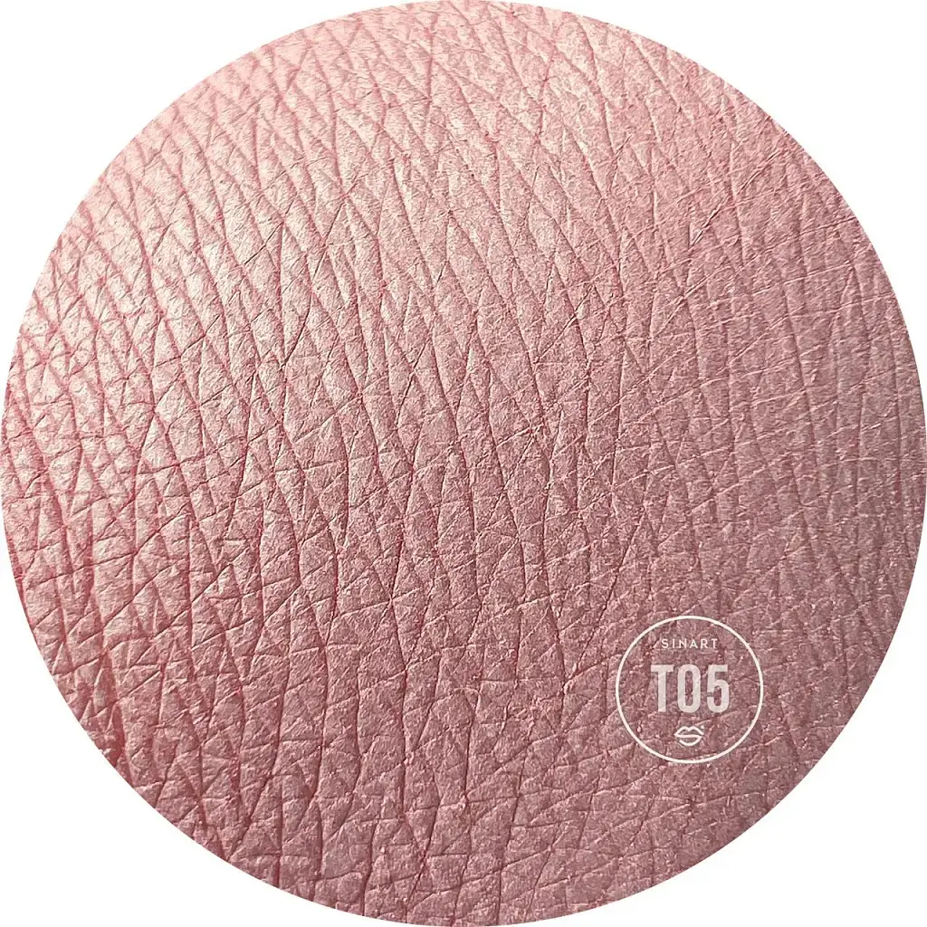 Прессованные тени для век Sinart Extra Dimension Velor Eyeshadow T05 1.5 г - фото 2