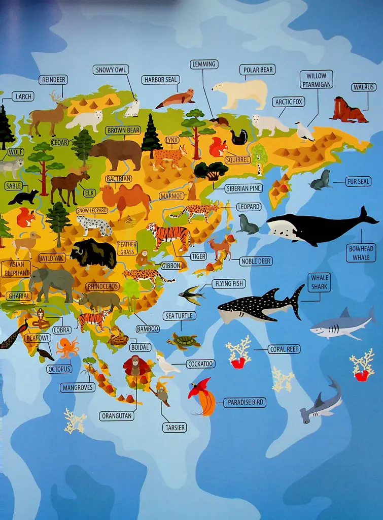 Тварини і рослини світу / Animals and plants of the world - - фото 5