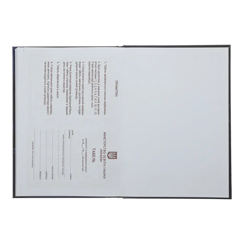 Щоденник шкільний ZiBi Sweet B5 48 аркушів (ZB.13827) - фото 12